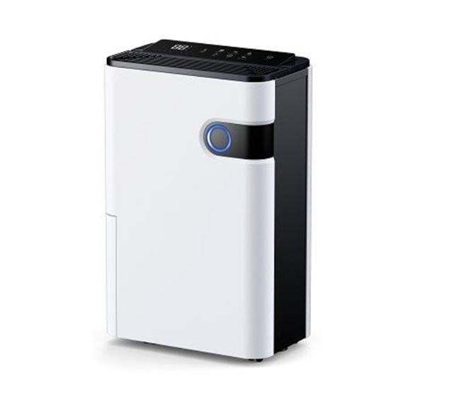 Screenshot 2023-08-19 092647