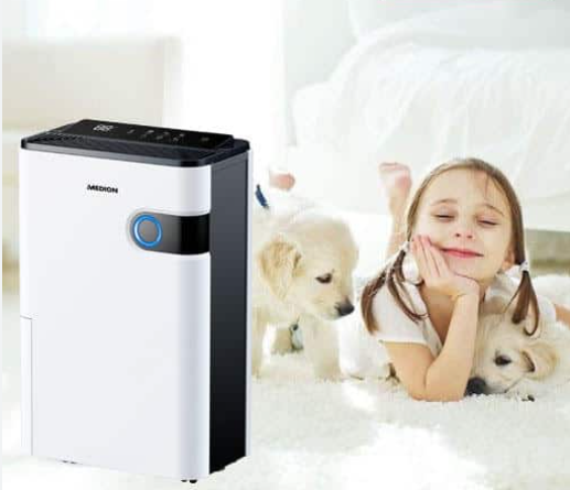 Screenshot 2023-08-19 092802